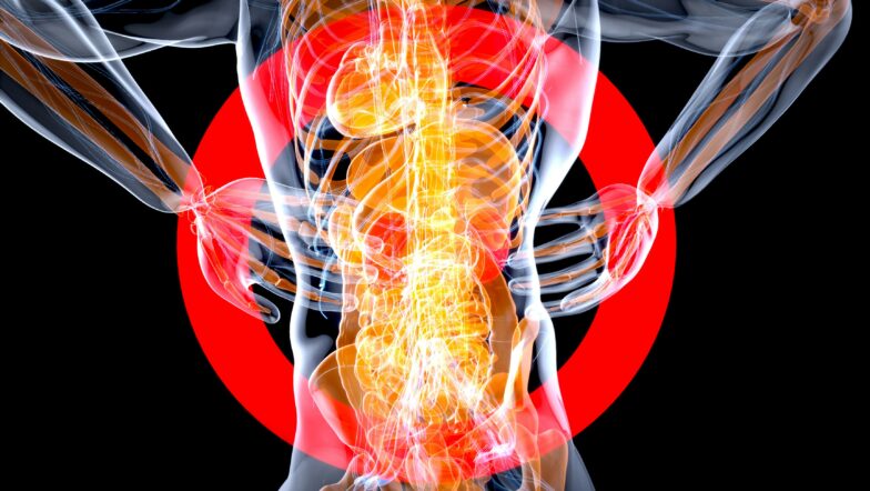 Pain management education and chronic pain support