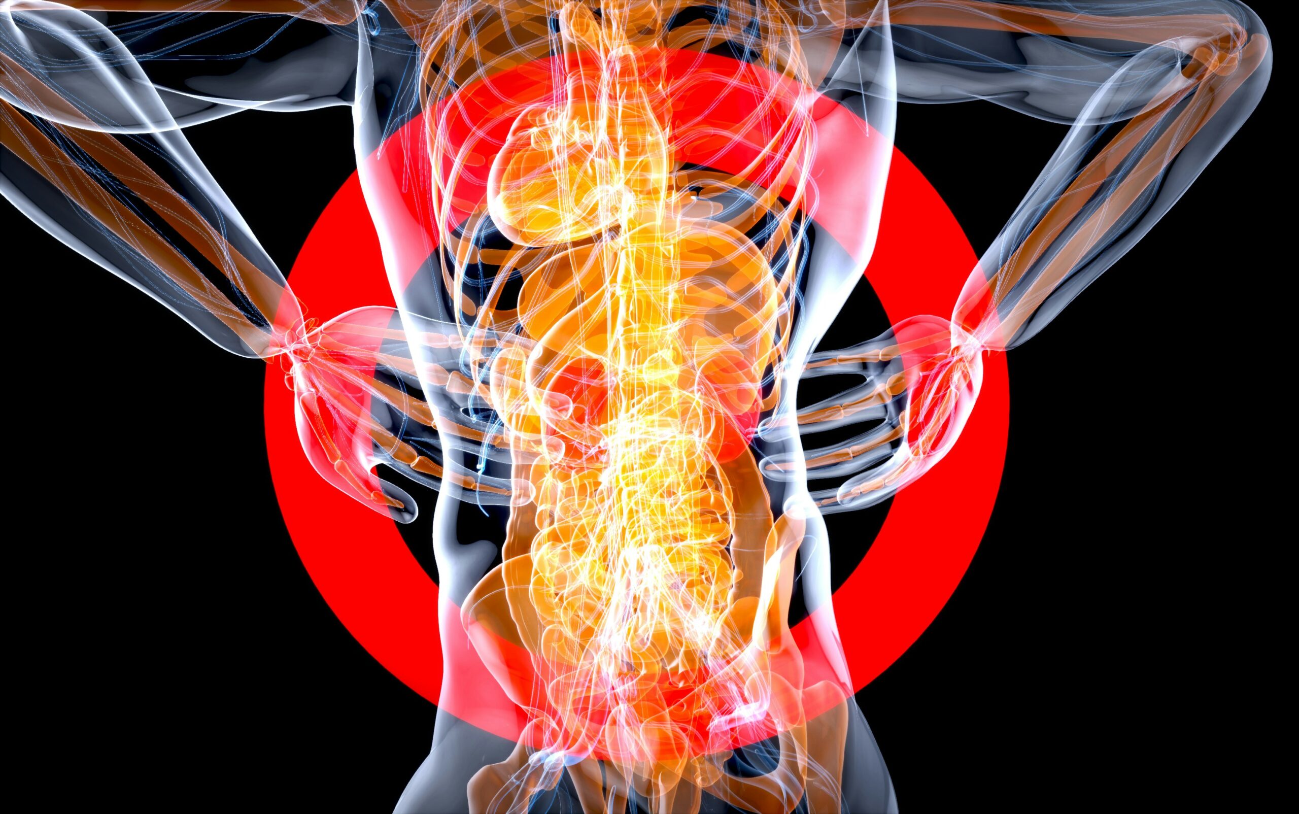 Pain management education and chronic pain support